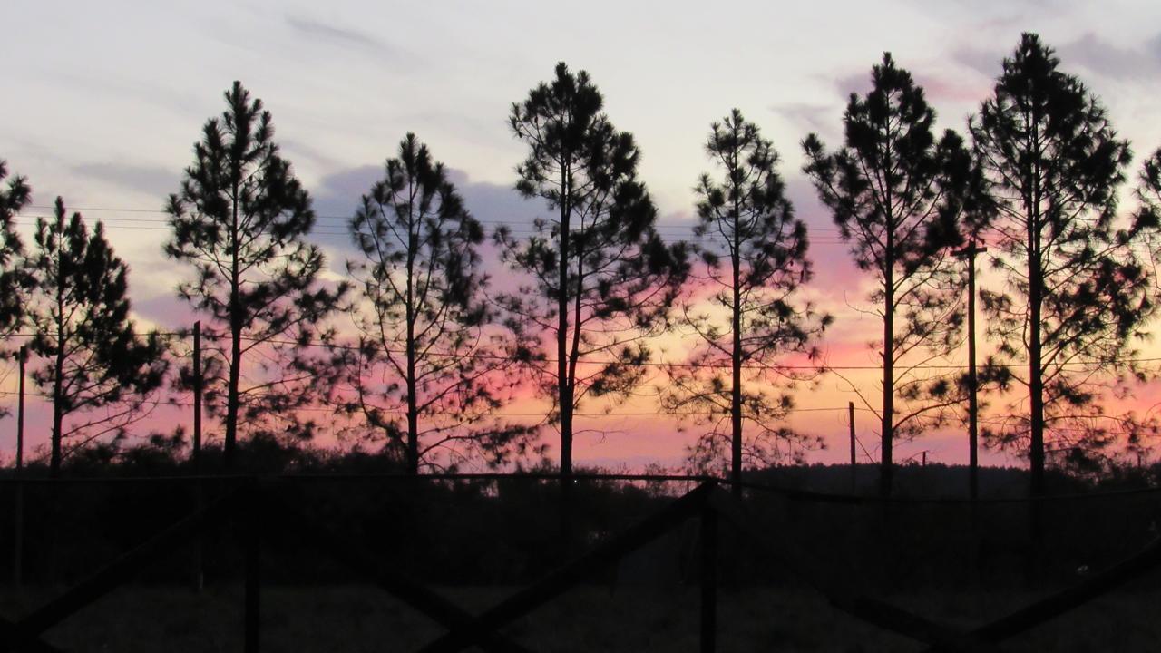 La Sonada Aparthotel Federación Esterno foto